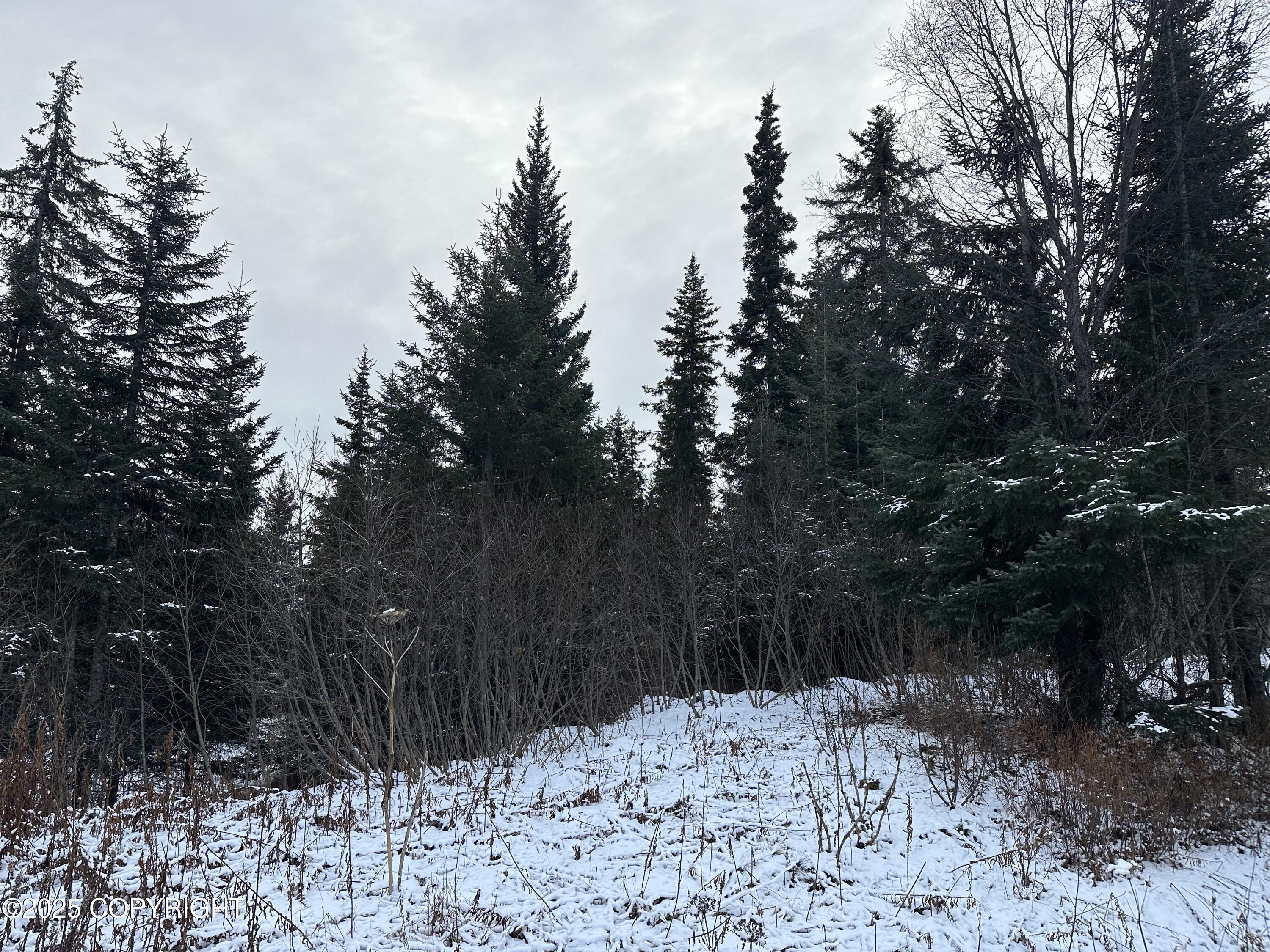 000 Old Sterling Highway Property Photo 2