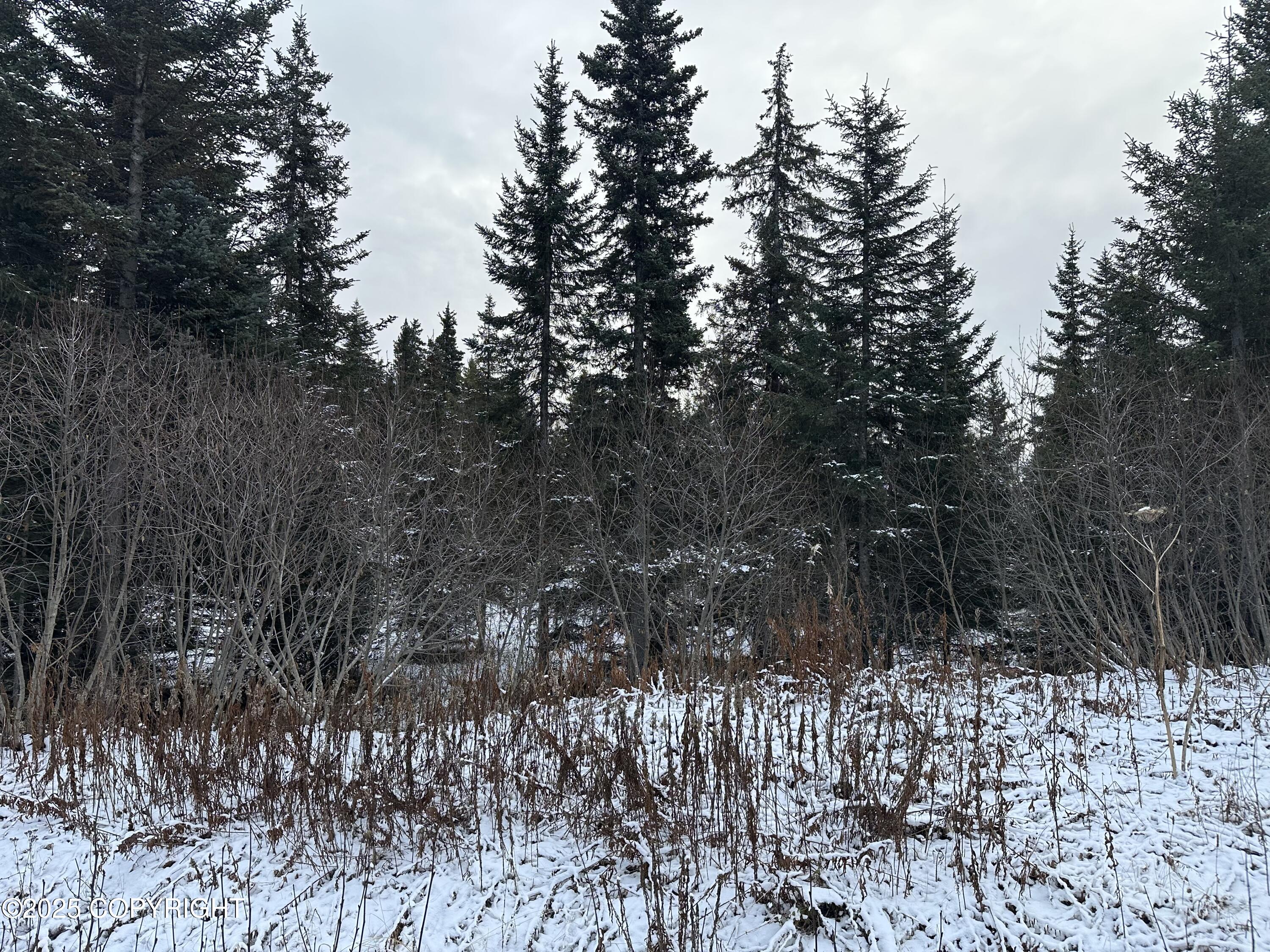 000 Old Sterling Highway Property Photo 3