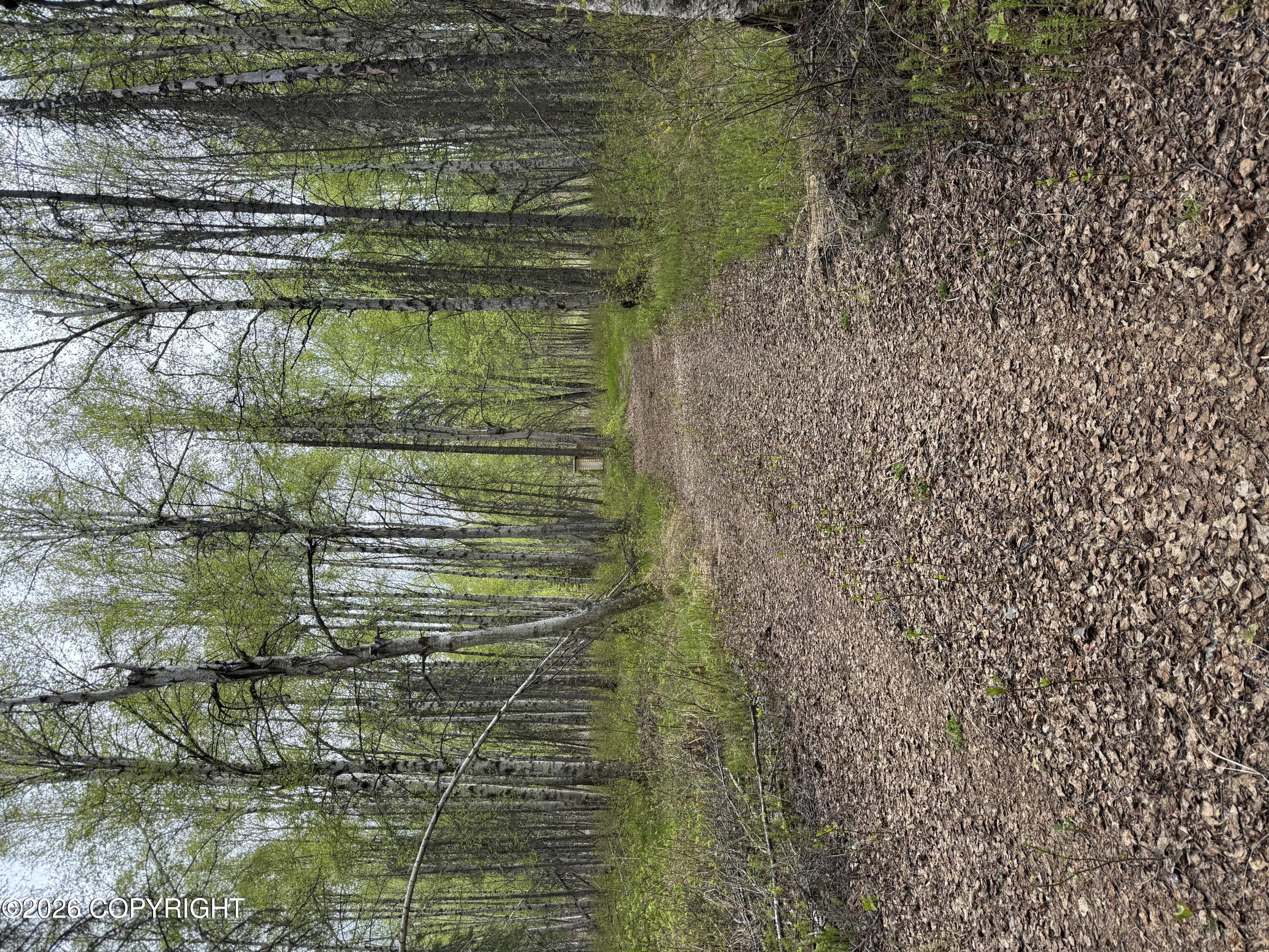 15714 E Angler Drive Property Photo 9