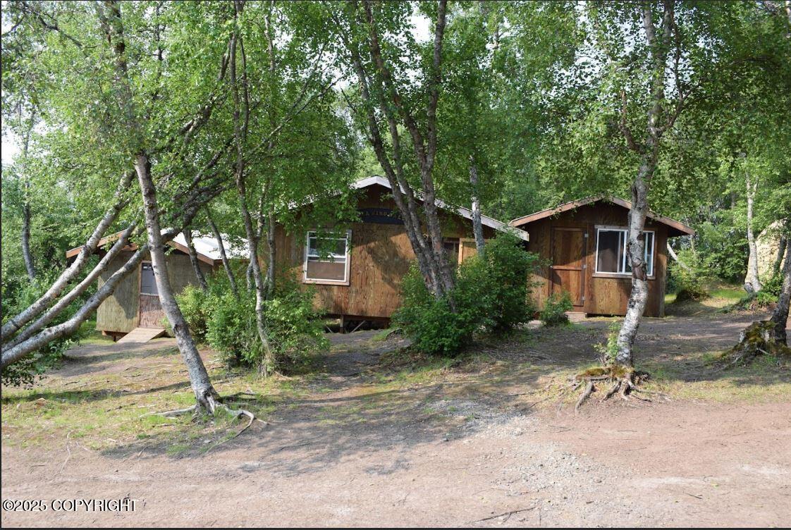 2007 Nushagak River Property Photo 12