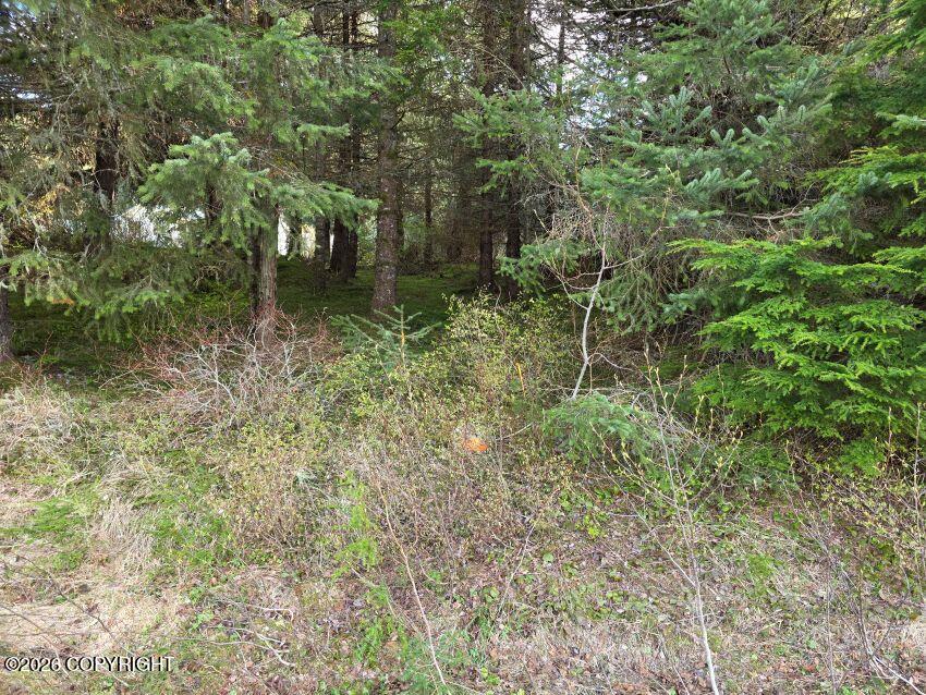 L3 Lutak Road Property Photo 4