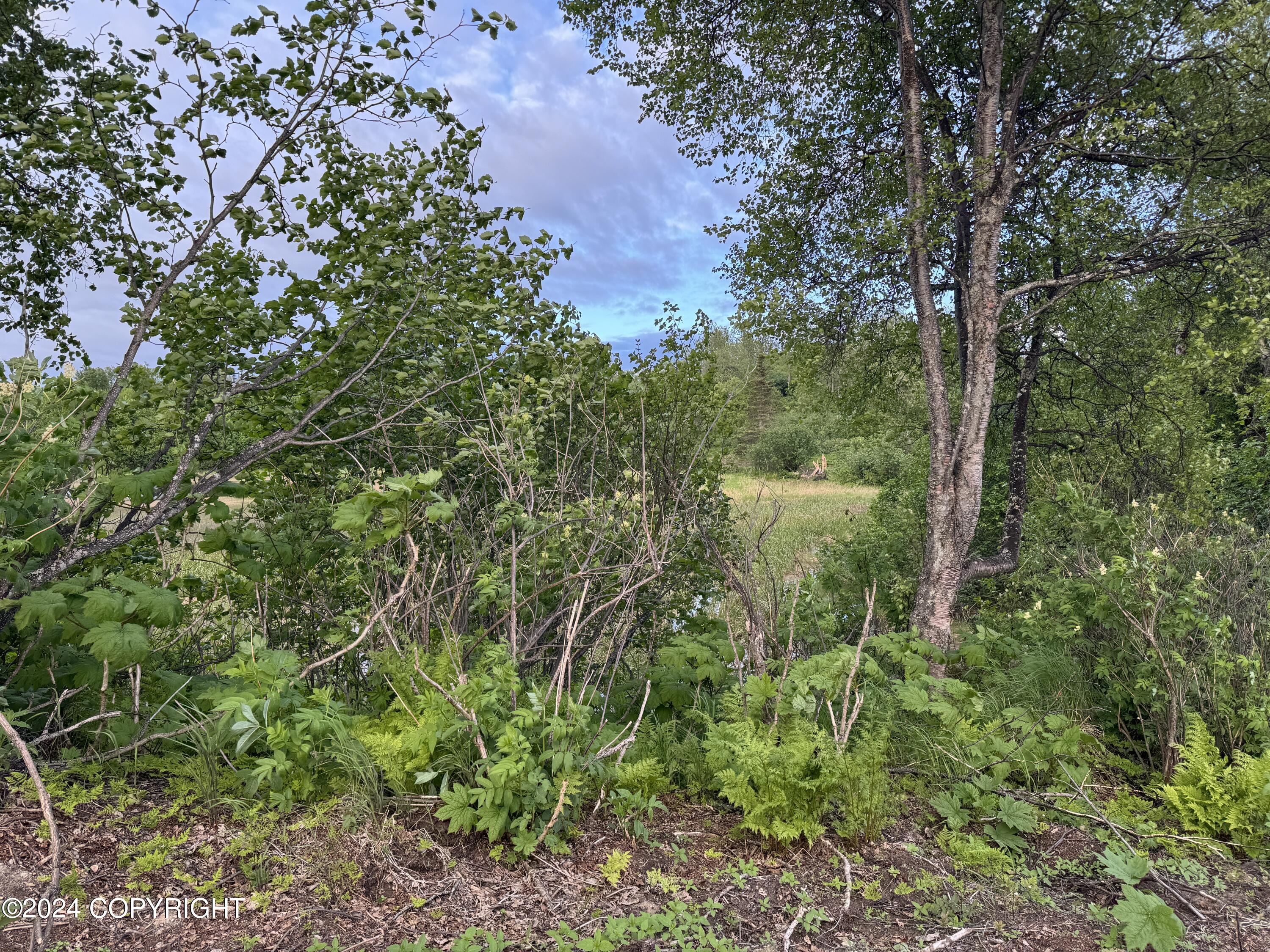 000 Wik Road Property Photo 4