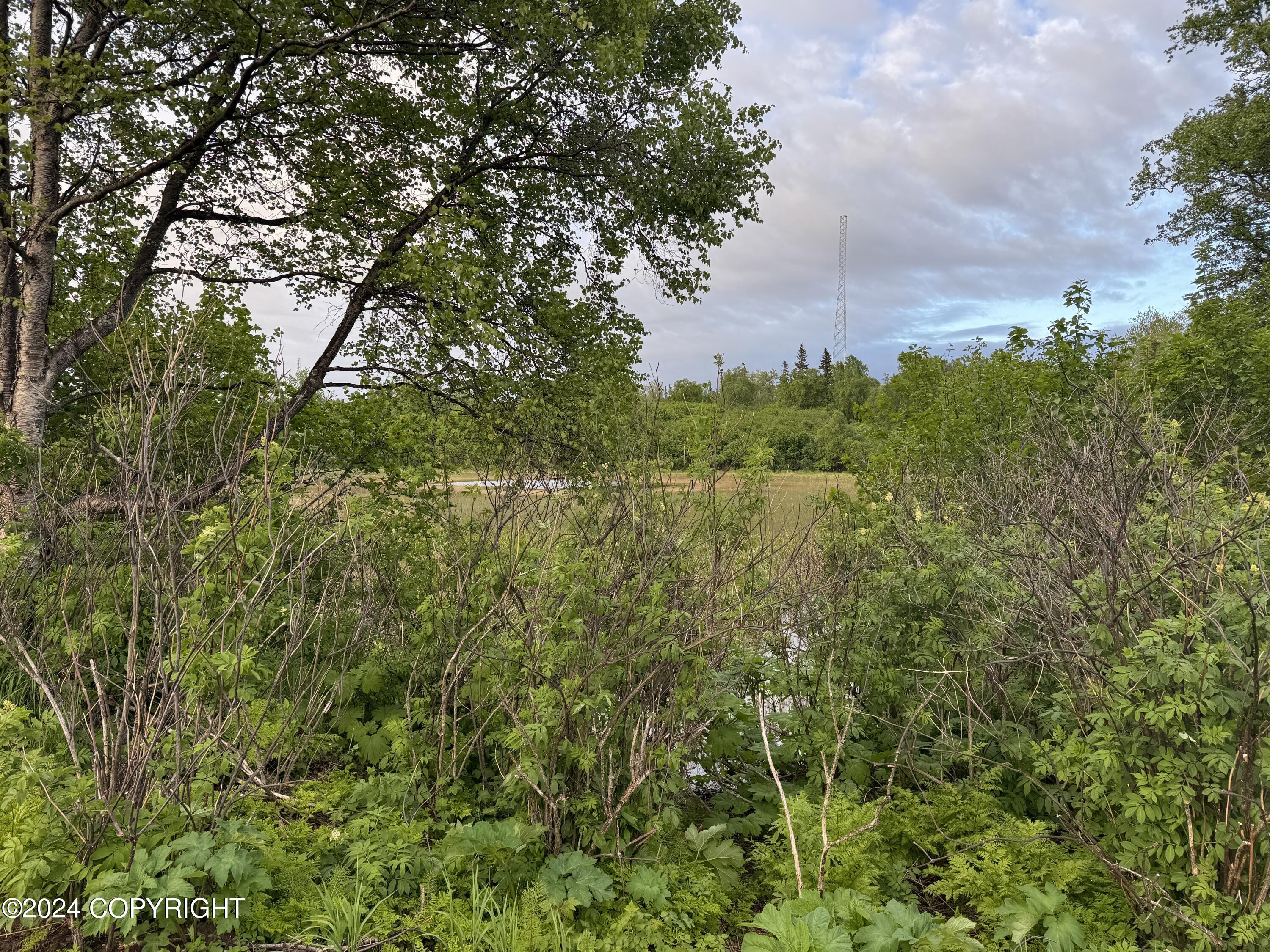 000 Wik Road Property Photo 7