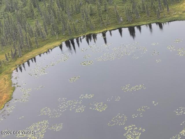 000 Nuyakuk Property Photo 14