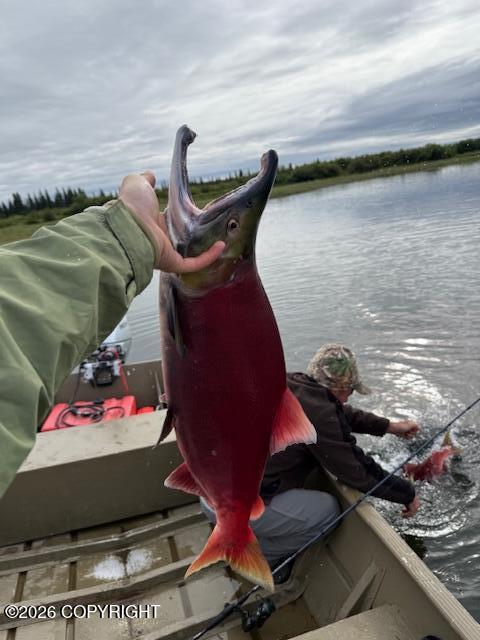 000 Nuyakuk Property Photo 16