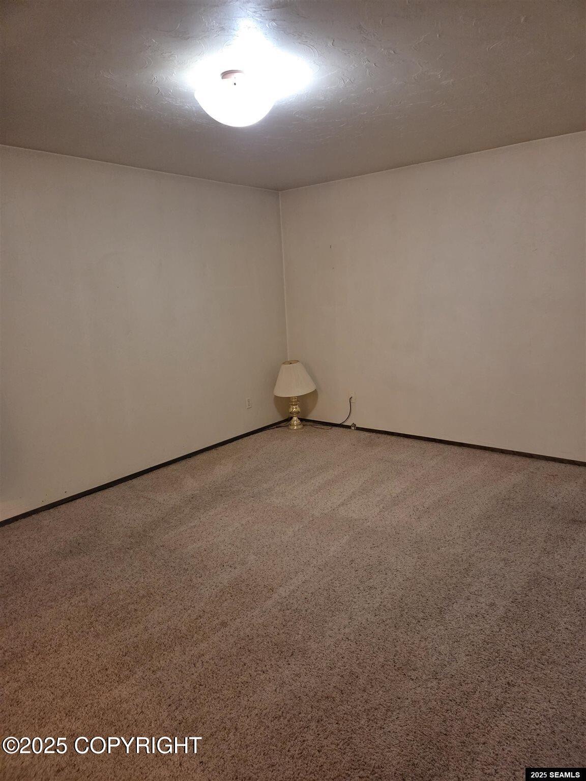2416 Aurora Drive Property Photo 27