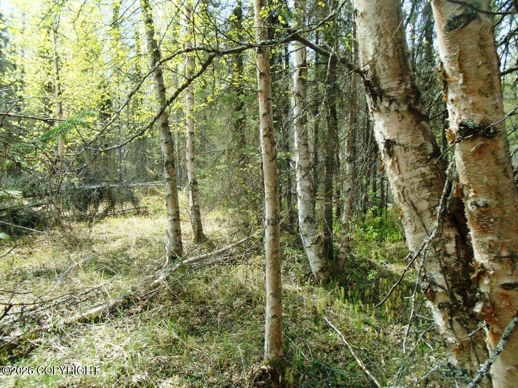 6671 S Lark Circle Property Photo 1