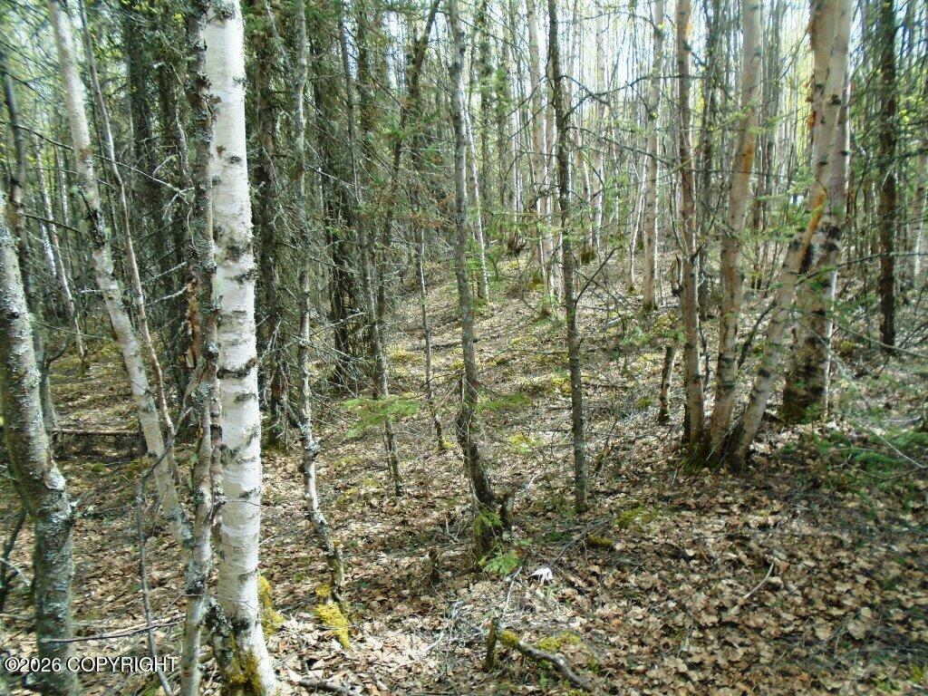 6671 S Lark Circle Property Photo 2