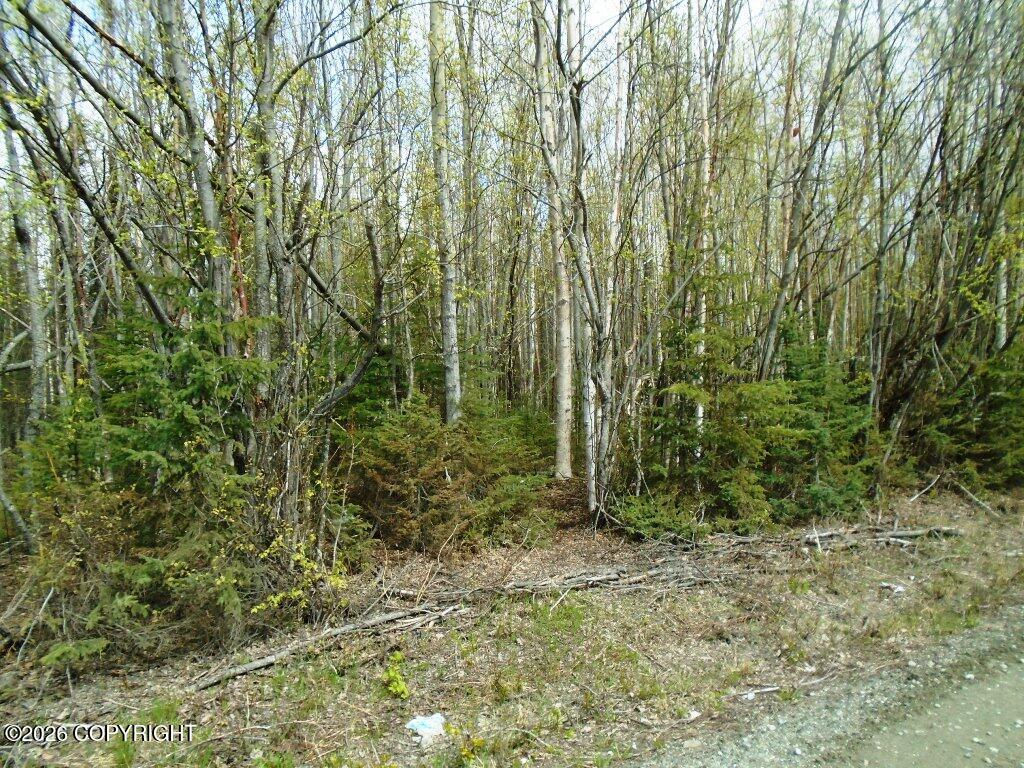 6703 S Lark Circle Property Photo 2