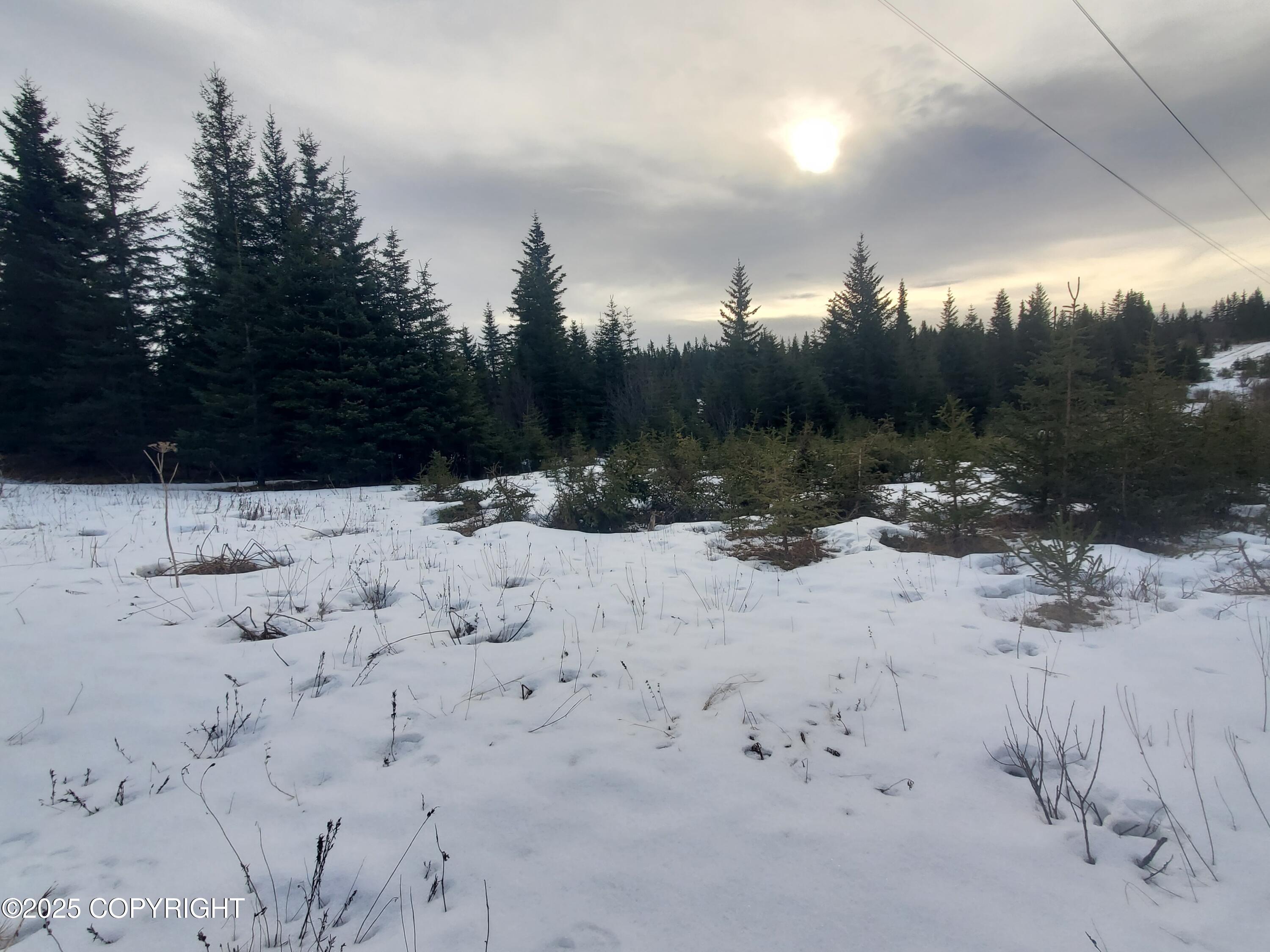 17491 Kimeluk Street Property Photo 4
