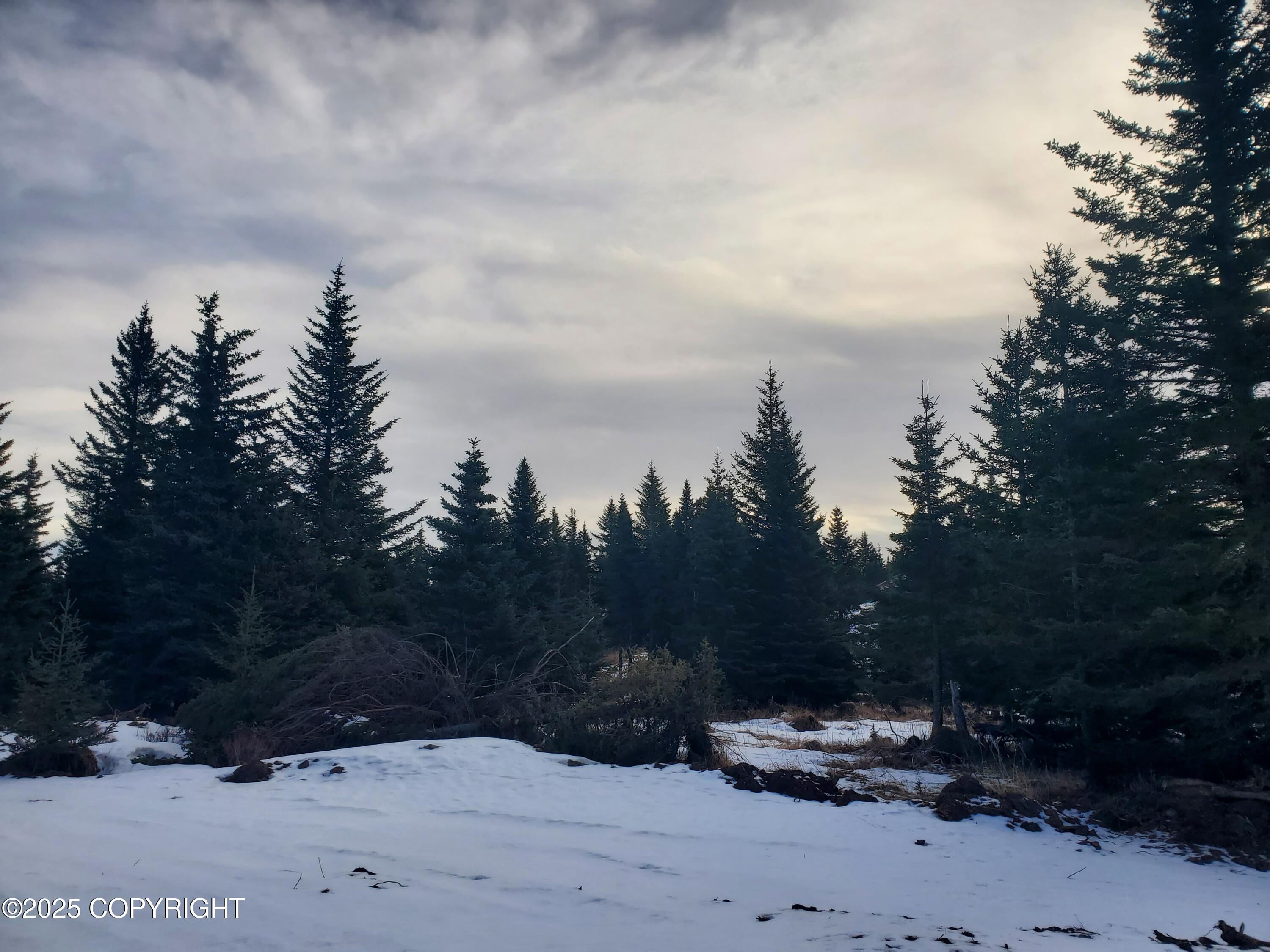 67609 Shavila Road Property Photo 4