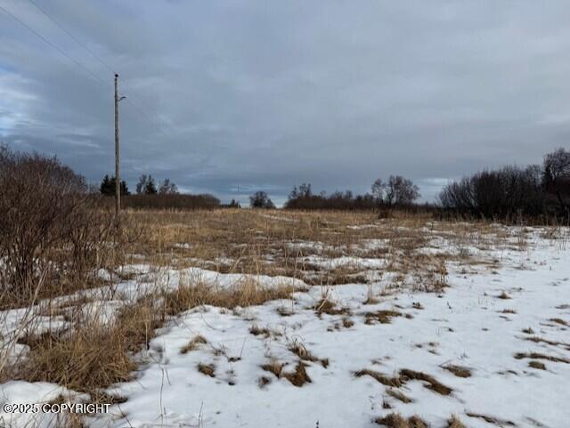 16075 Sterling Highway Property Photo 8