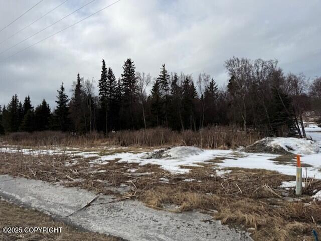 16075 Sterling Highway Property Photo 22