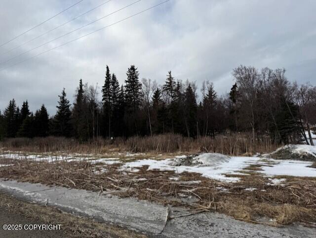 16075 Sterling Highway Property Photo 23