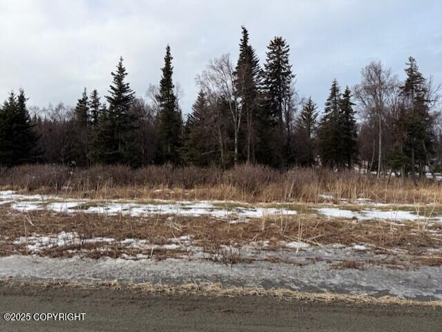 16075 Sterling Highway Property Photo 28