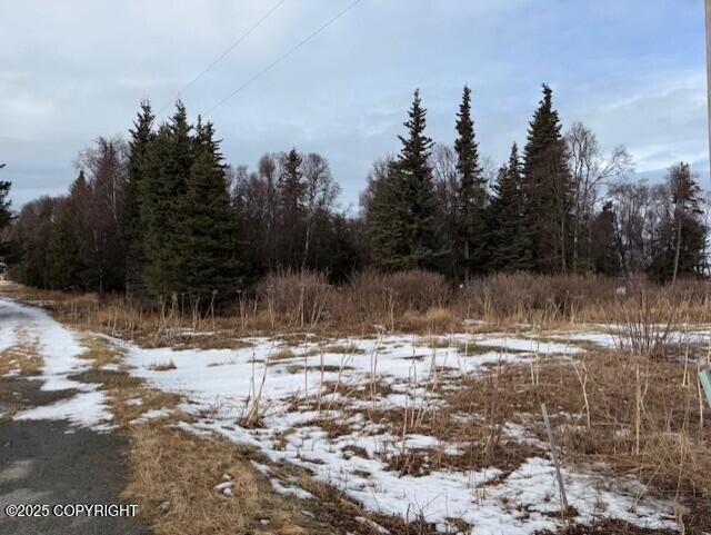 16075 Sterling Highway Property Photo 29