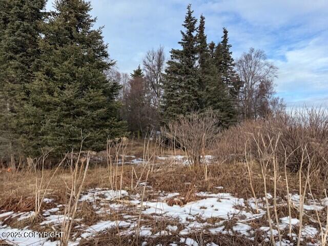 16075 Sterling Highway Property Photo 34