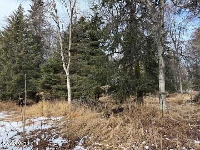 16075 Sterling Highway Property Photo 37