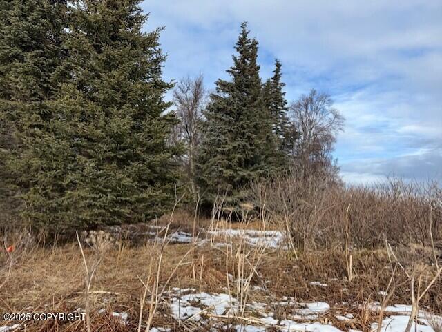 16075 Sterling Highway Property Photo 38