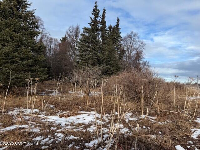 16075 Sterling Highway Property Photo 39