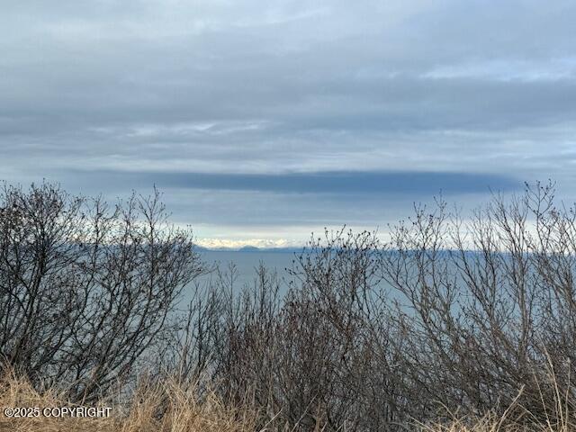16125 Denali Circle Property Photo 20