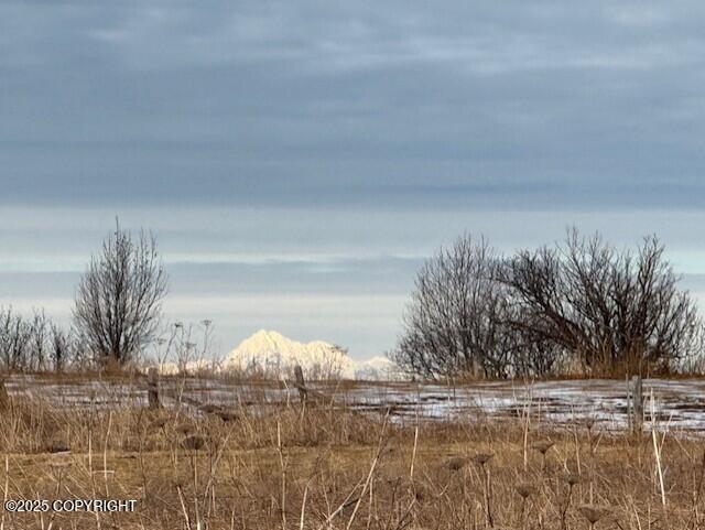 16125 Denali Circle Property Photo 21