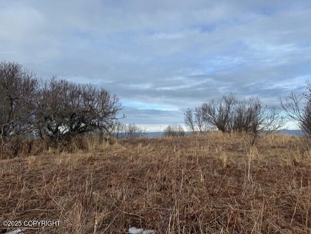 16125 Denali Circle Property Photo 22