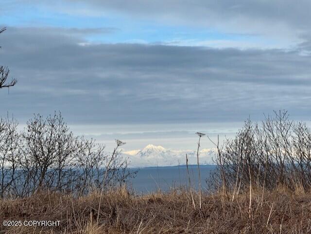 16125 Denali Circle Property Photo 23