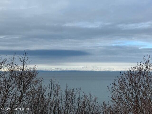16125 Denali Circle Property Photo 24
