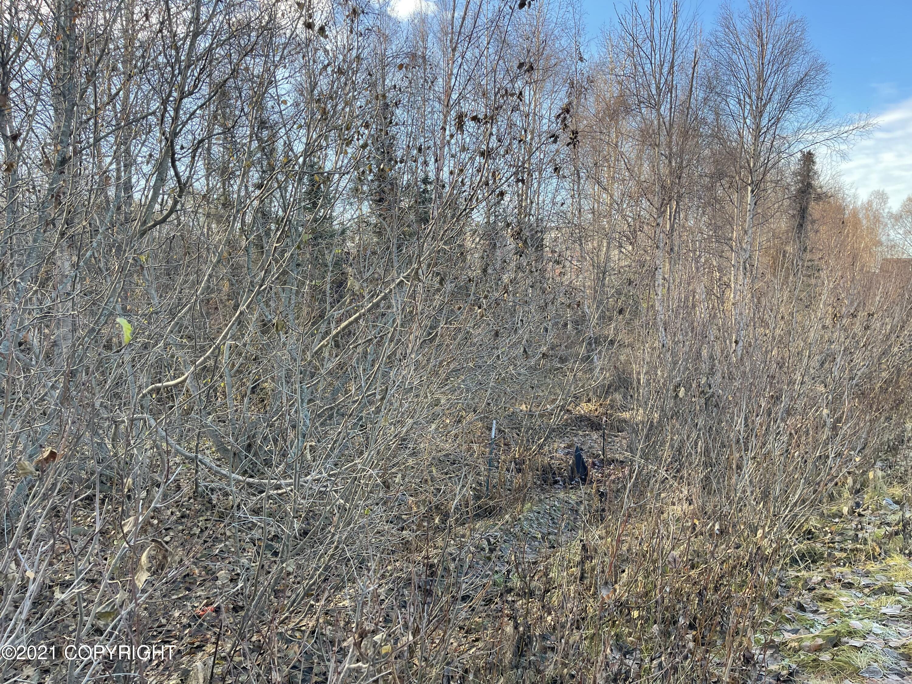 8000 Independence Park Drive Property Photo 8