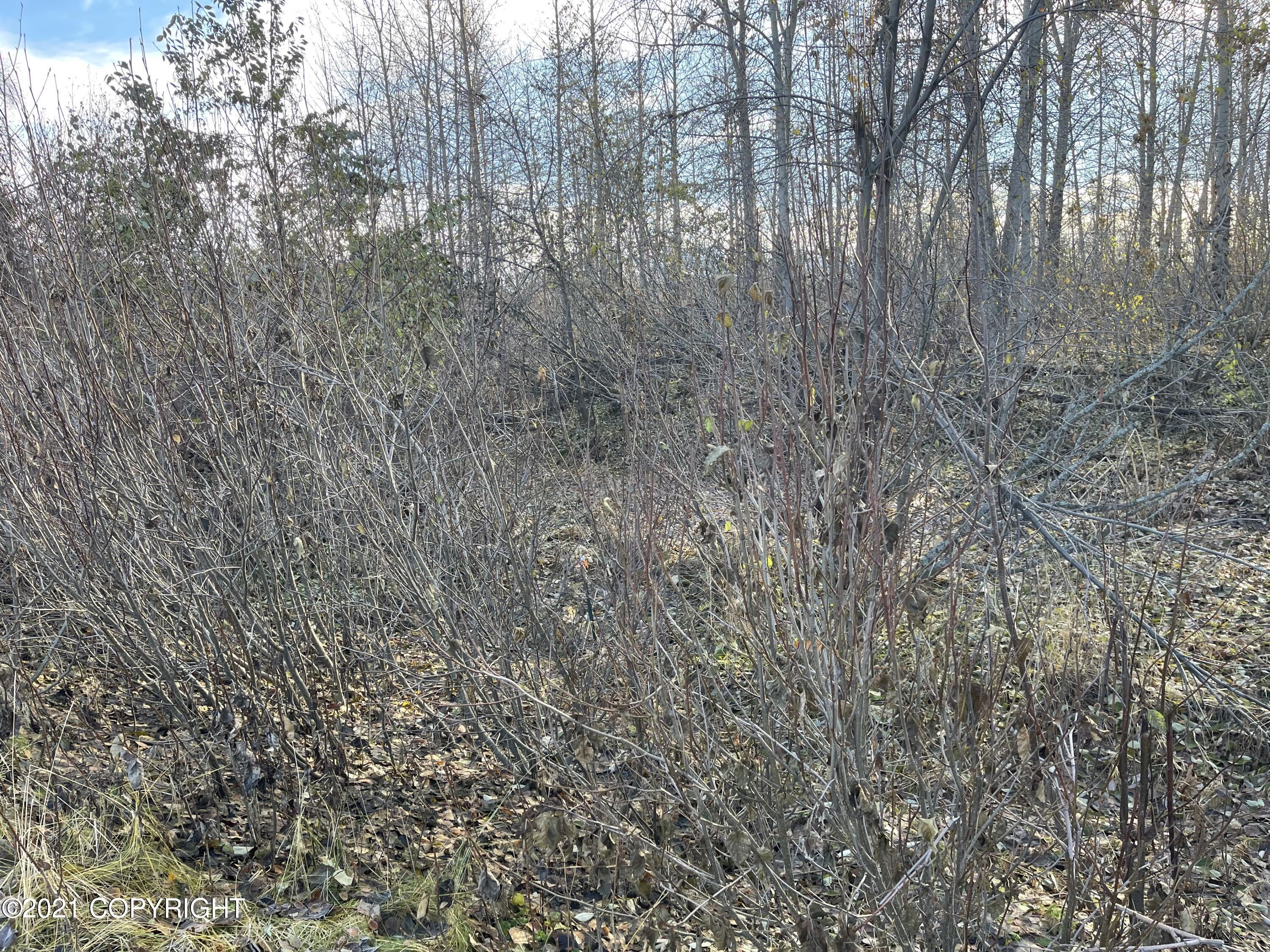 8000 Independence Park Drive Property Photo 9