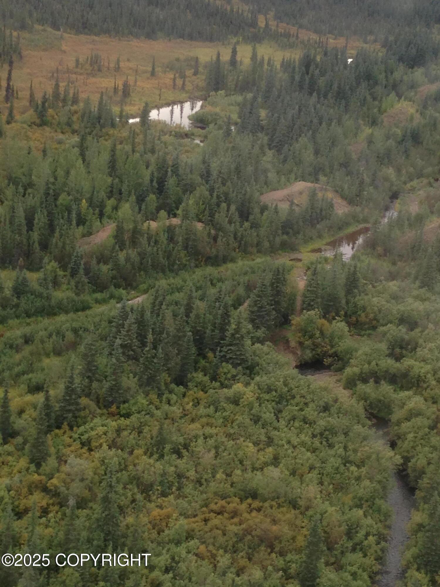 000 Moore Creek Gold Mine Property Photo 23