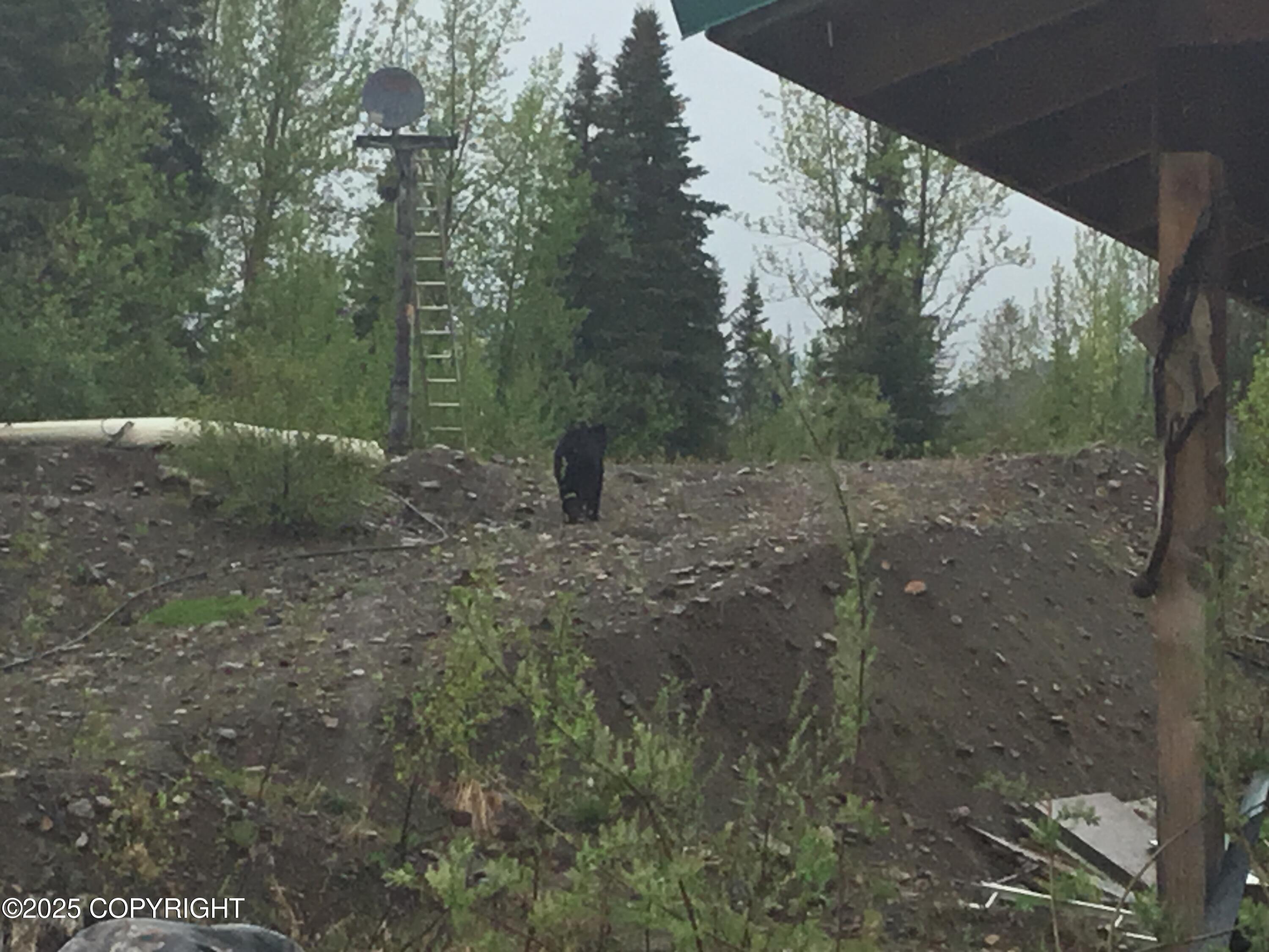 000 Moore Creek Gold Mine Property Photo 28
