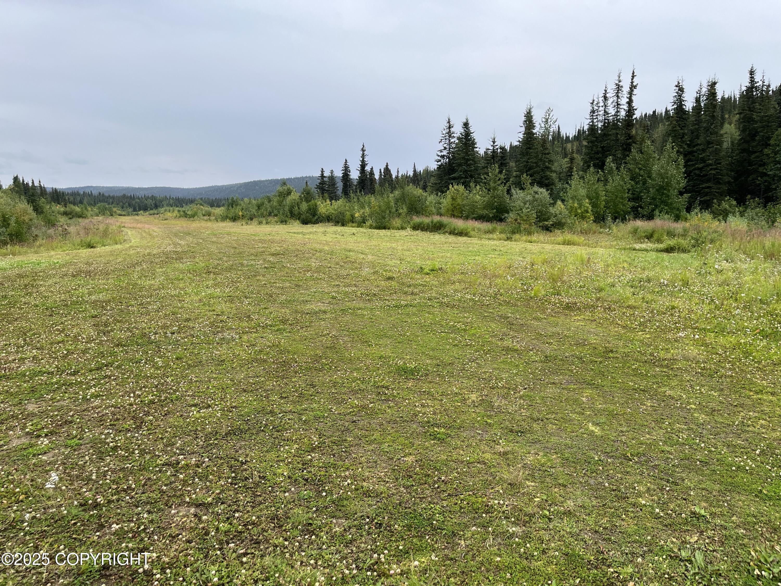000 Moore Creek Gold Mine Property Photo 57