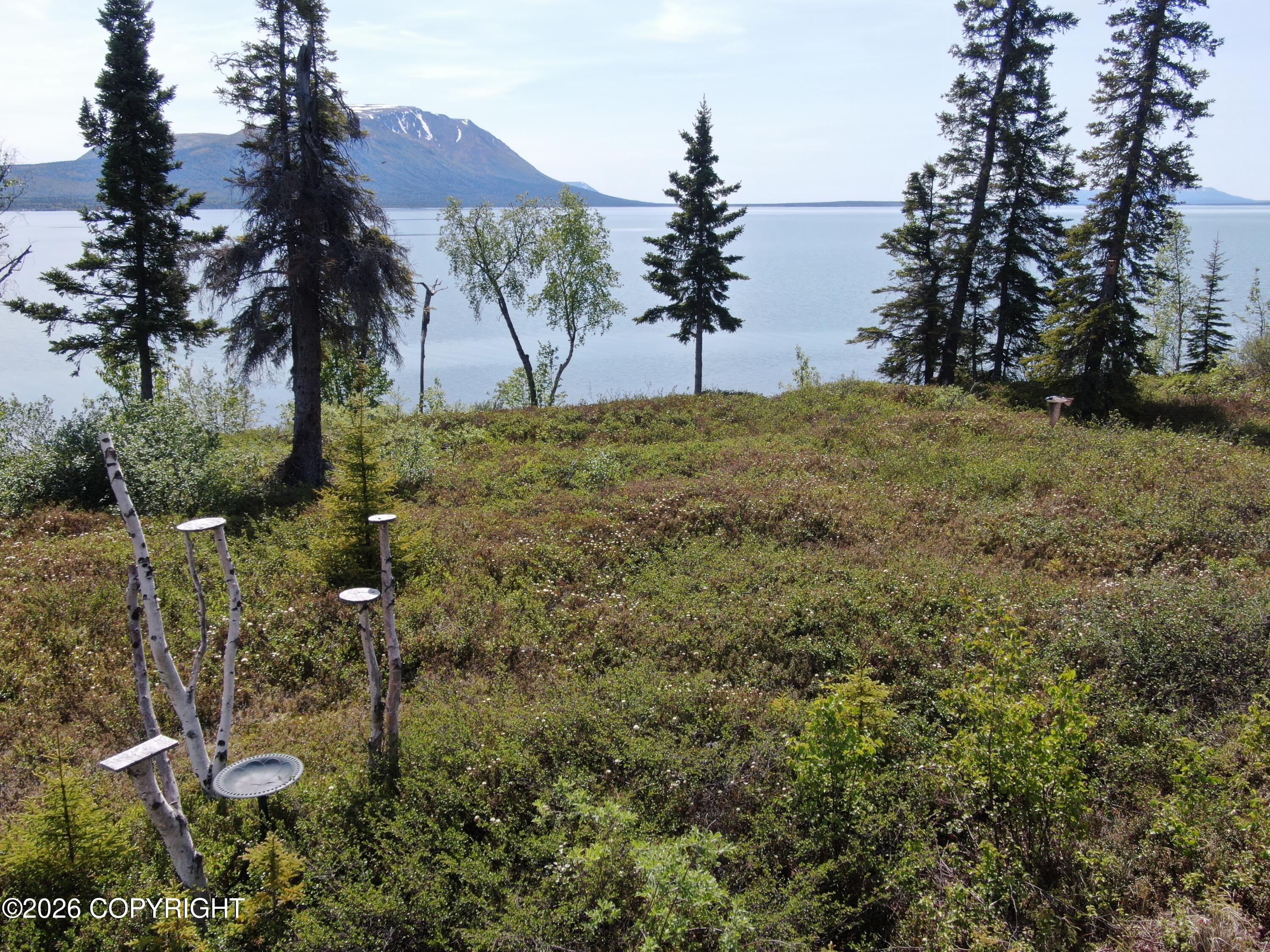 L14 B5 Keyes Point Property Photo 42