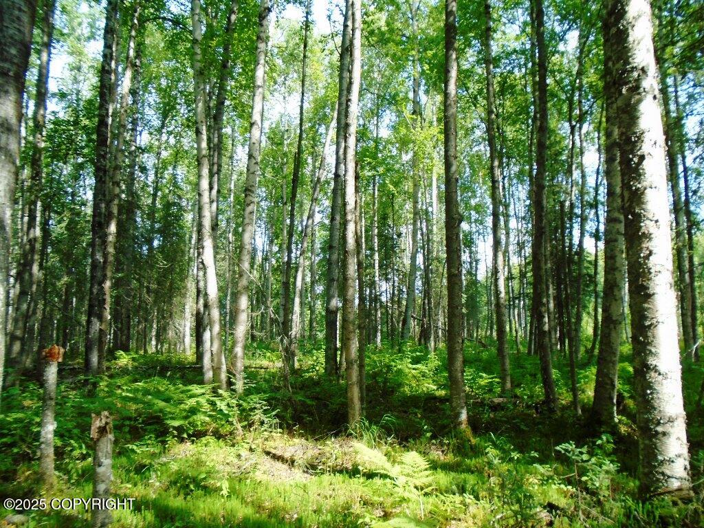 Tr D Mile 93 Parks Highway Property Photo 2