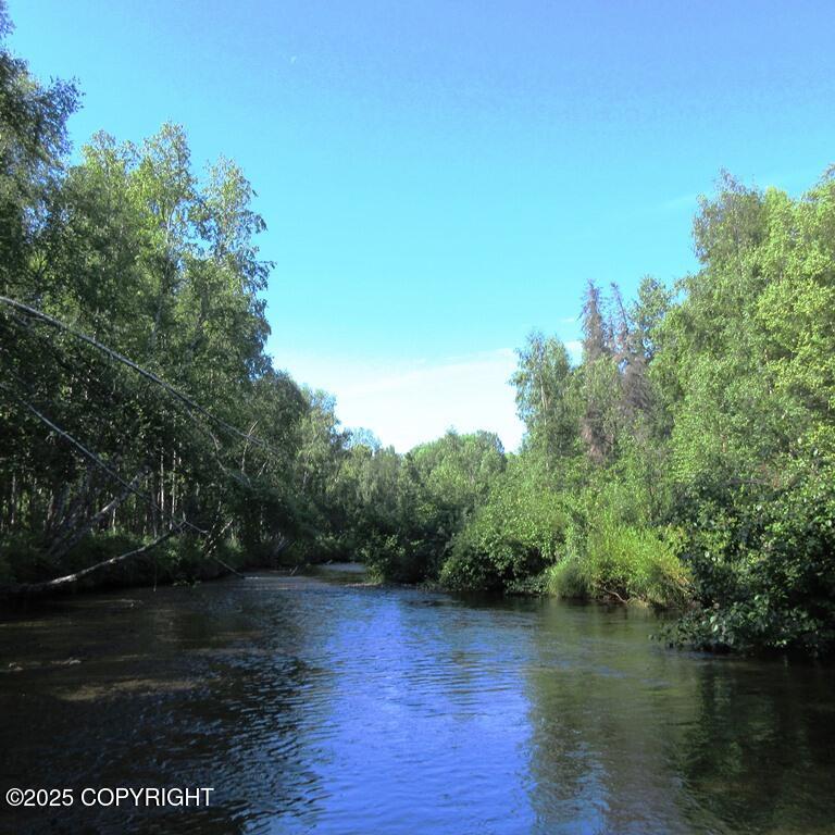 Tr D Mile 93 Parks Highway Property Photo 3