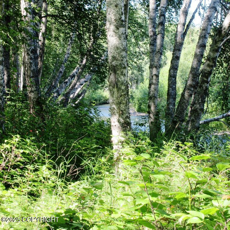 Tr D Mile 93 Parks Highway Property Photo 7
