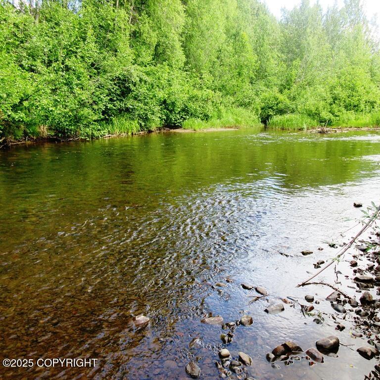 Tr D Mile 93 Parks Highway Property Photo 8