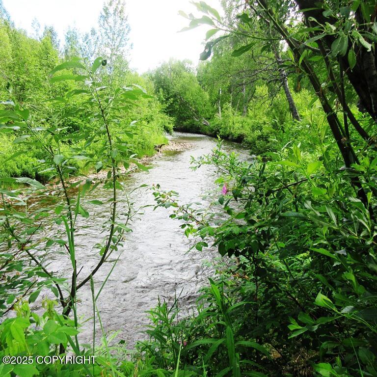 Tr D Mile 93 Parks Highway Property Photo 11