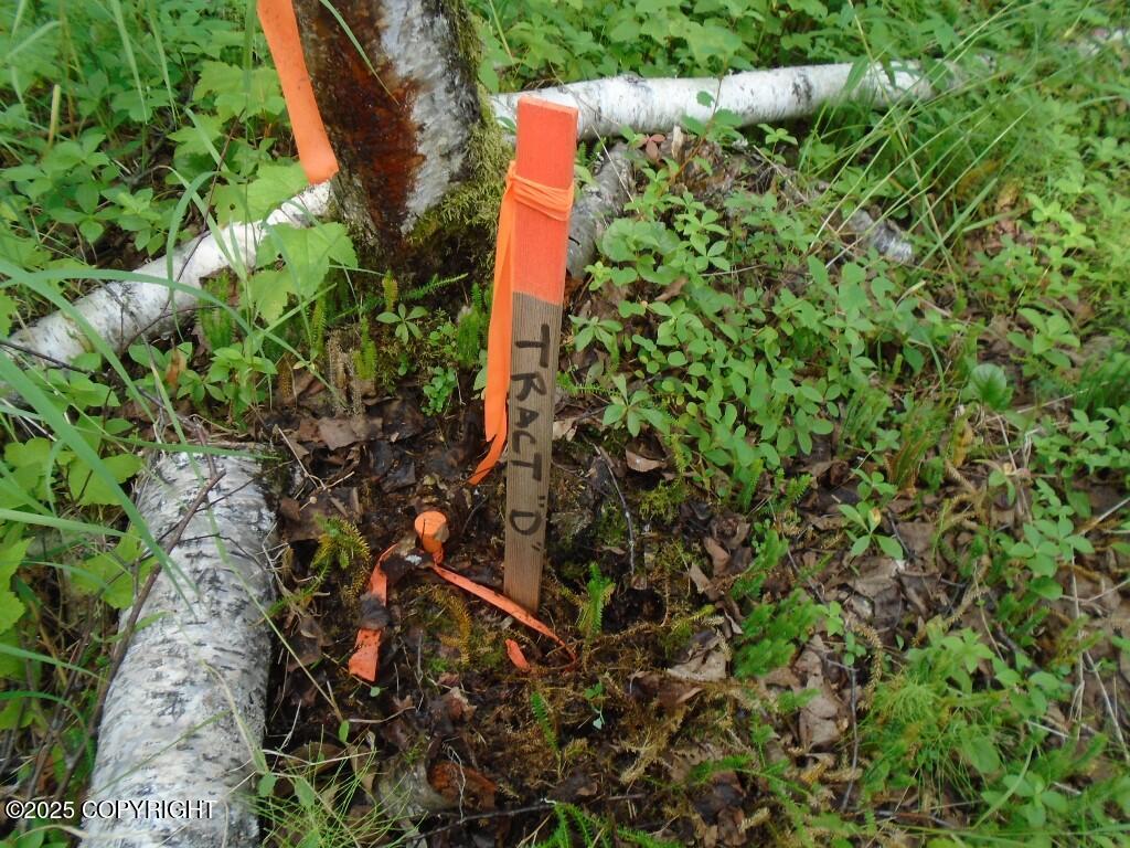 Tr D Mile 93 Parks Highway Property Photo 12