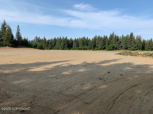 33699 Granross Street Property Photo 6
