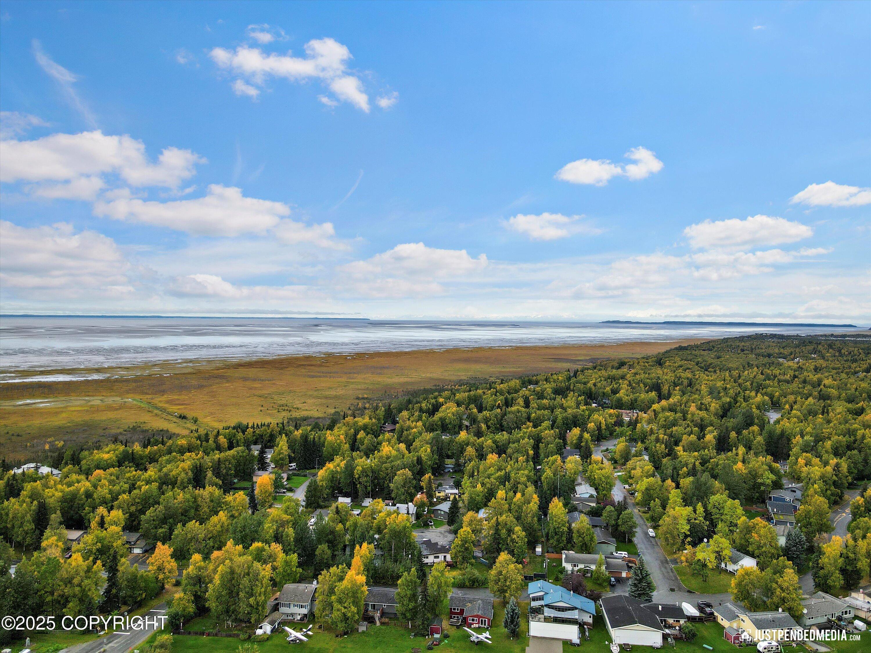 12872 Old Seward Highway #2 Property Photo 50