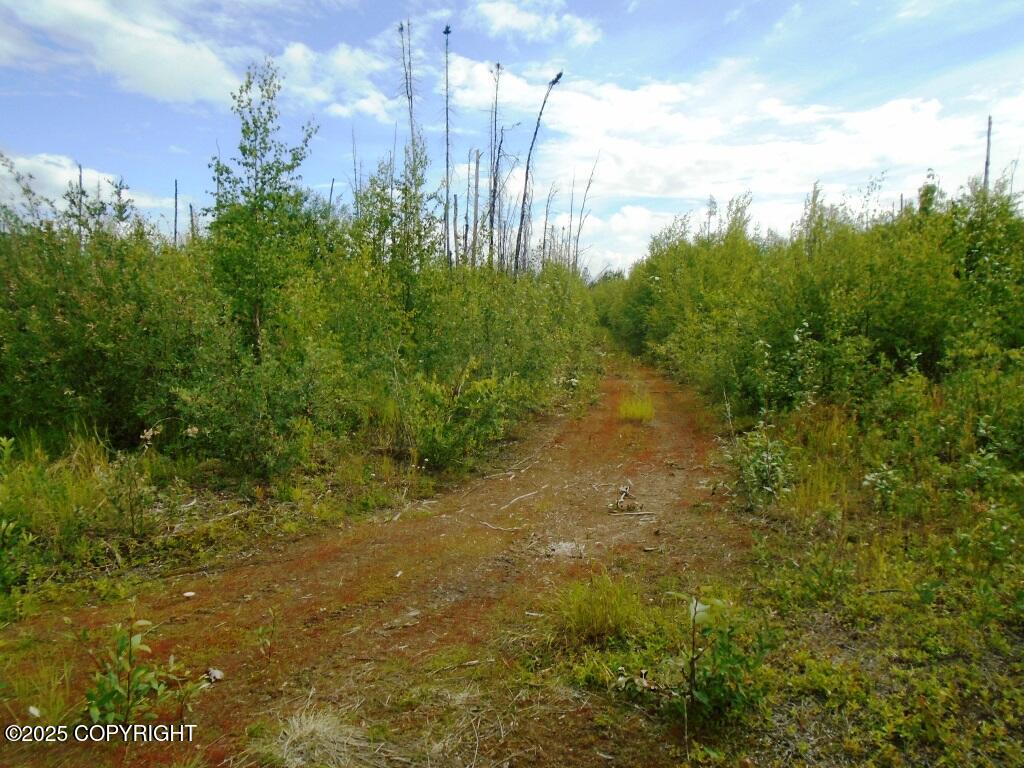 Mile 72 Parks Highway Property Photo 1
