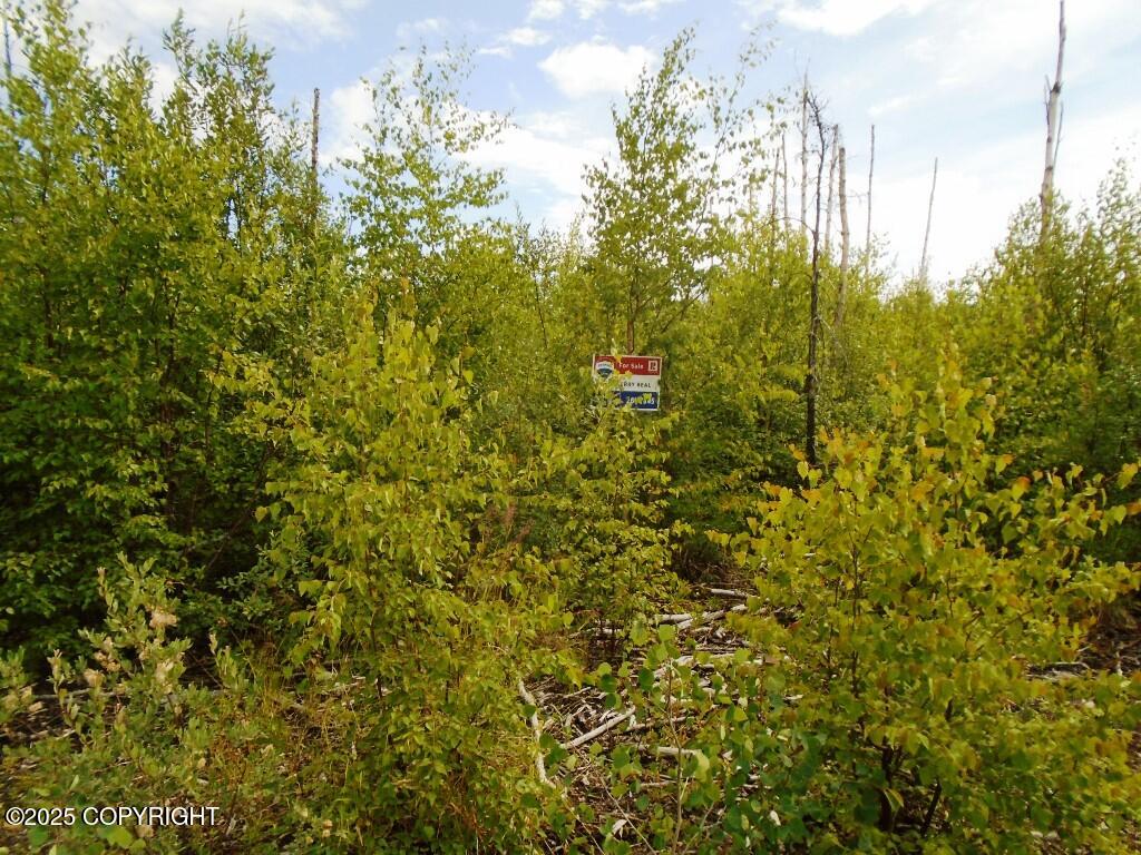Mile 72 Parks Highway Property Photo 2