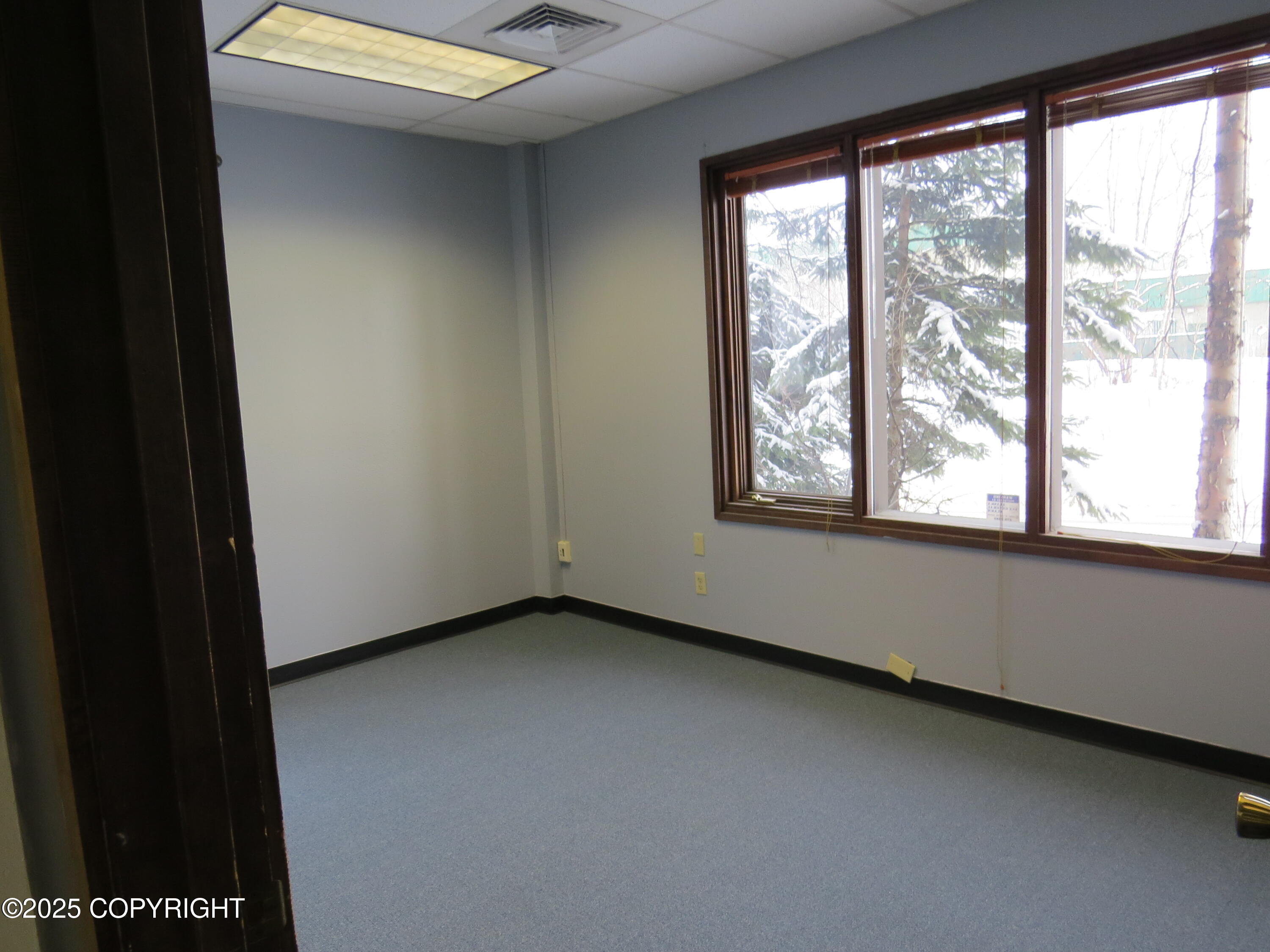 801 W Fireweed Lane Property Photo 3