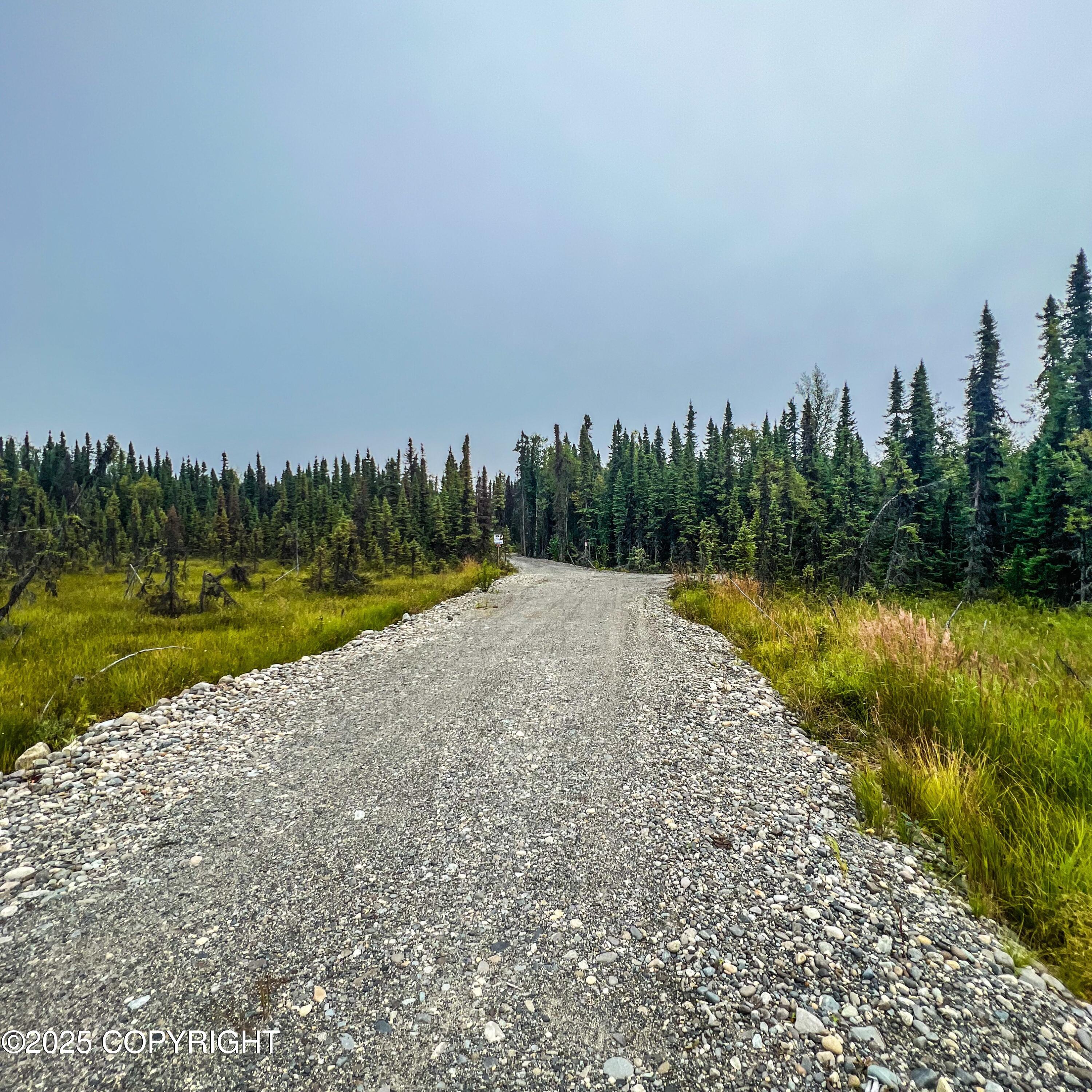 39795 W Parks Highway Property Photo 4