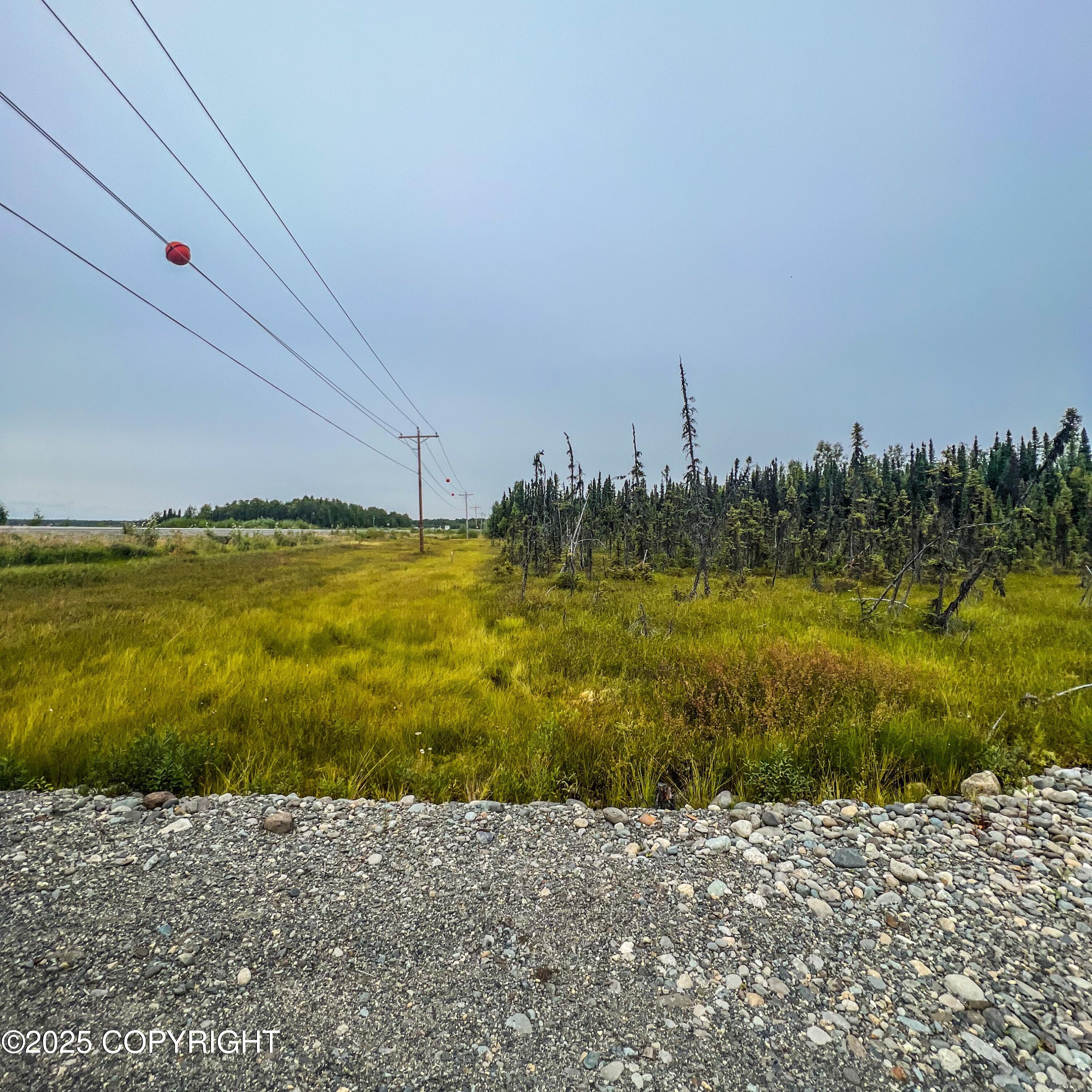 39795 W Parks Highway Property Photo 5