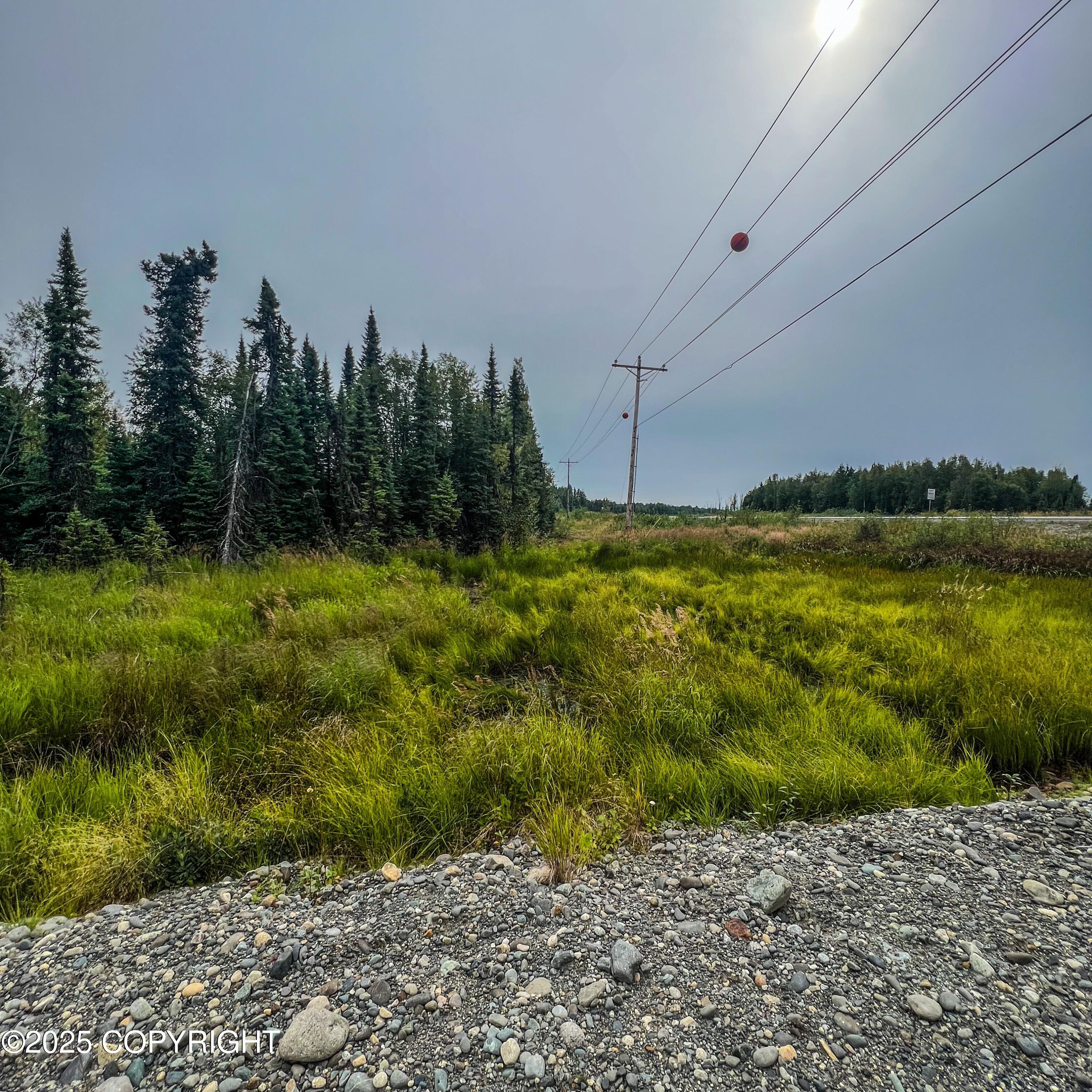 39795 W Parks Highway Property Photo 6