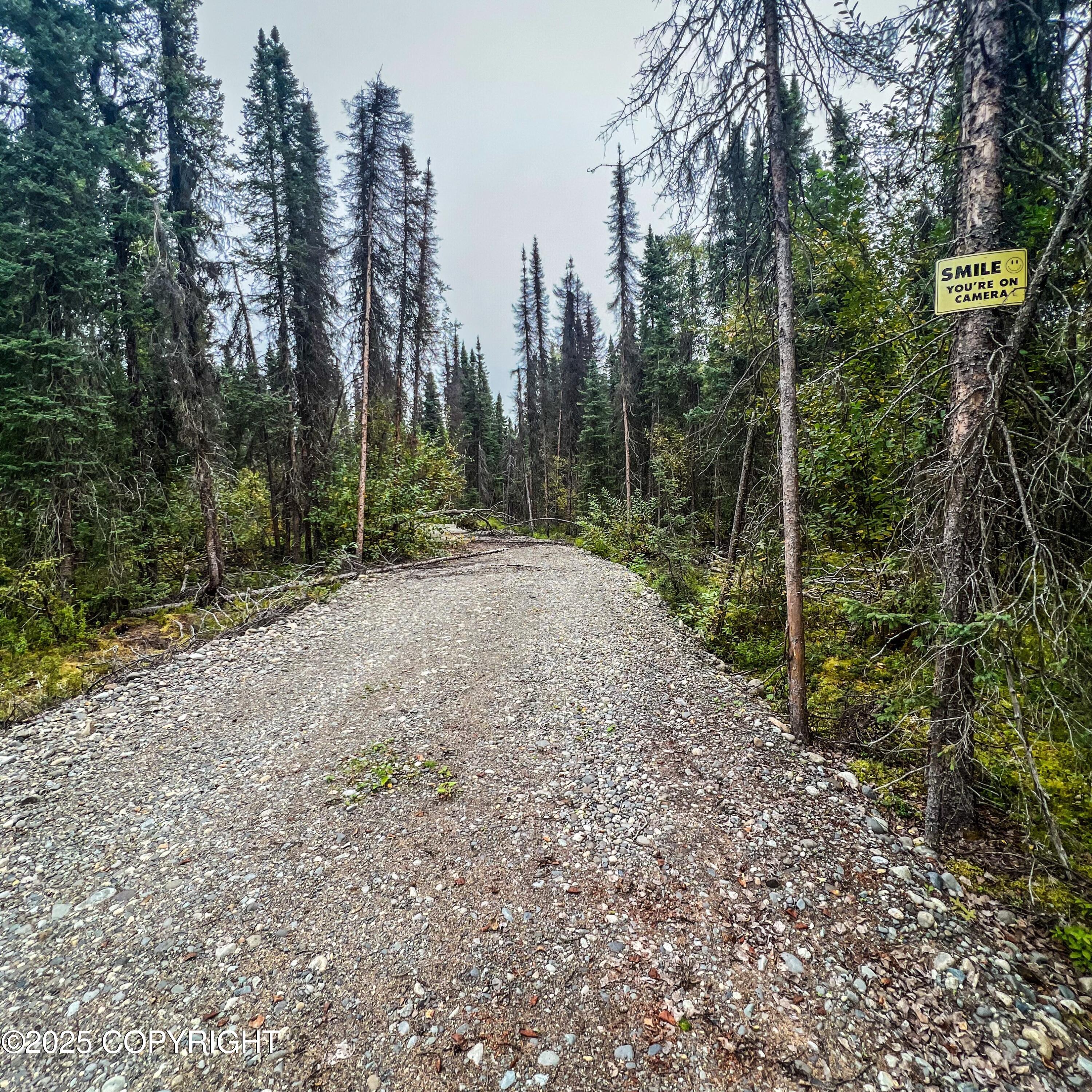 39795 W Parks Highway Property Photo 8